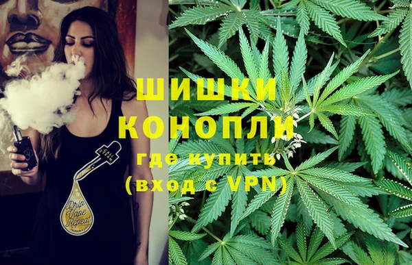 шишки Зерноград