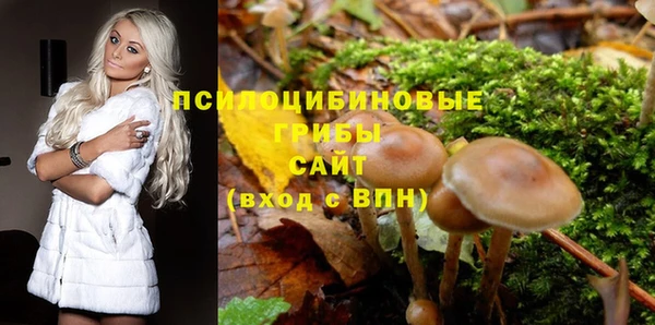 мдпв Зеленодольск