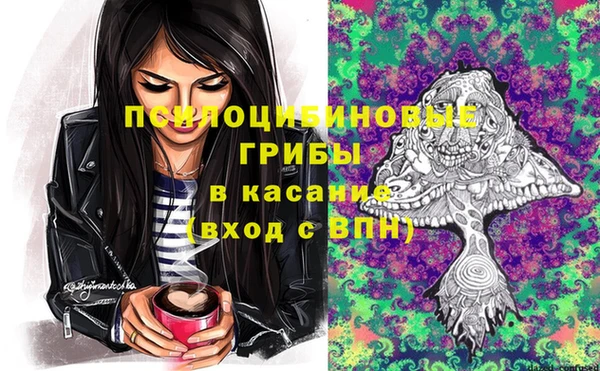 шишки Зерноград