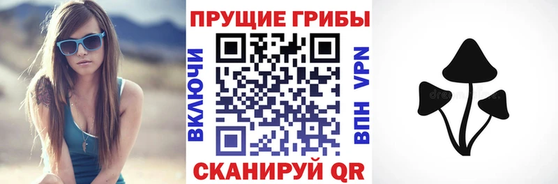 Псилоцибиновые грибы Magic Shrooms Рудня
